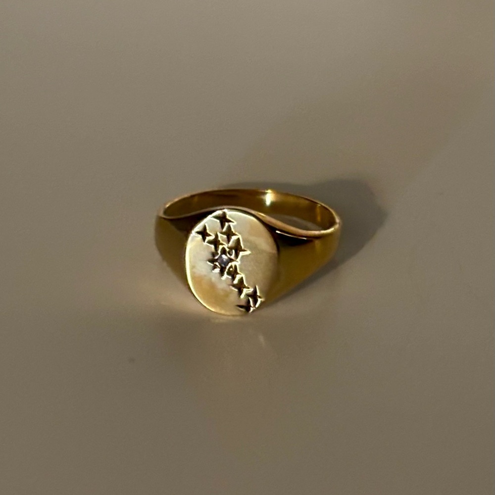 Mejuri Taurus Vermeil Signet Ring